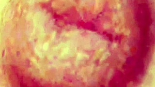 Momiji from Doa5 teases topless in gravure studio close-ups.