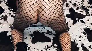 Wife Rides Hard in Erotic Mesh Bodysuit During Intense Anal Sex