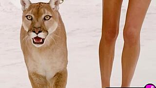 perfect all natural babe strips naked to show sexy body