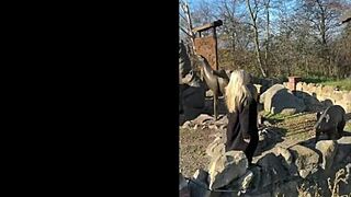 sluts auditioning for sugarbaby position gag fuck their way to the top