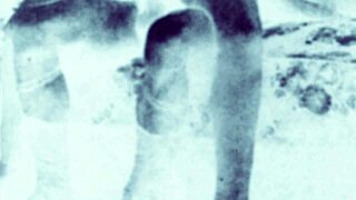 vintage erotic drawings from a bygone era