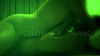 Why Let the Bachelor Husband-to-Be Miss This Wild Titty Ride? Why Not Join?