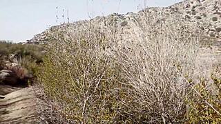 Outdoor Passion With Arab Beauty