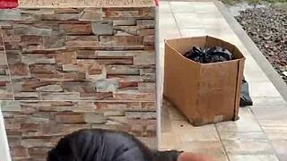 Submissive Student Girlfriend Sucks In Public For Thirty Dollars