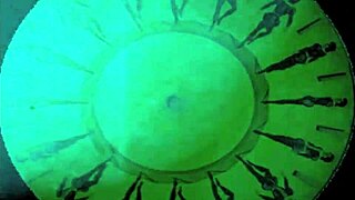 Raw Vintage Erotic Art Unveiled