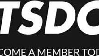 Sexy Brunette Regina Sparks Is Ready For A New Sex Adventure With Horny Stranger - Horny Hostel