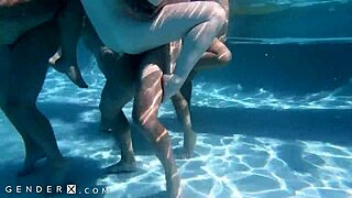 hej, chceš vidieť divoký trans orgiu pri bazénovej párty s genderx?