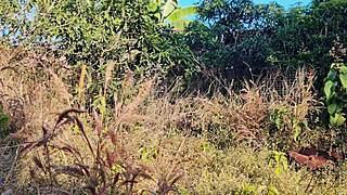 Gorąca malezyjska dziewczyna przejebana mocno na zewnątrz przez chłopaka