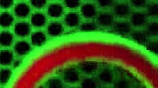 Miles Kongkek Jari Panjang dengan Brunette Makayla Cox dalam Aksi POV