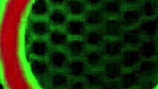 Rdeče vroča zrela v spodnjem perilu draži z umazanimi besedami o velikih ustnicah pičke in riti