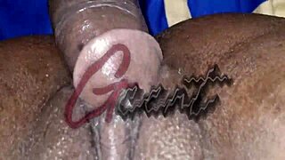Passion HD: A lot of Girls Have Romantic sex Compilation