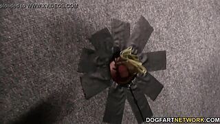 Gloryhole slut Maserati XXX takes white cocks
