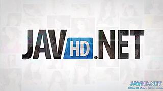 Yo, these Japanese pussies in vol 31 are pure fire!