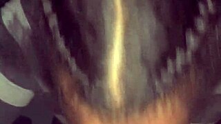 guccicapone bends over his bbw model for creampie 😏