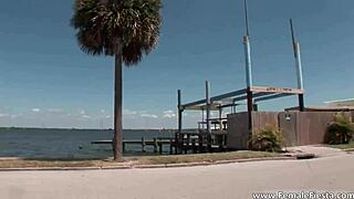 She strips her bikini and gets groped at the outdoor party