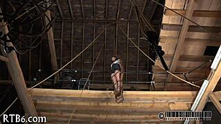 She collars her sweetheart lustily for some ravishing fun