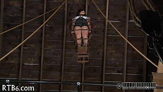 She collars her sweetheart lustily for some ravishing fun