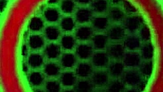 Sensual British Brunette SOPHIE DEE Pours A Lotion All Over Her TITS