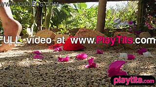 Petite brunette teen reveals perky small tits and hairy area.