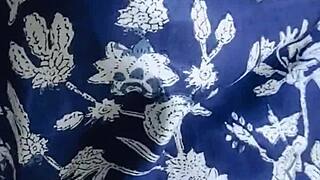 Nri canadian college girl enjoys car fun with brother