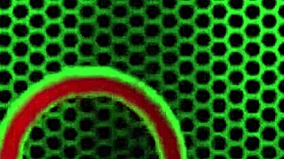 blonde lesbians sofie marie