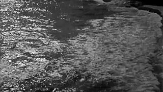 vintage erotic art collection