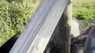 Just a happy hippie country girl talking to cows and you