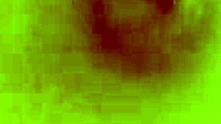 An amateur couple shares passionate home sex