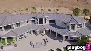 Did you see that horny BBW sucking her partner's hard cock?