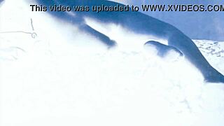 Vintage Erotic Drawings Collection