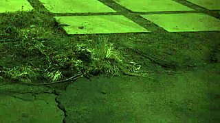 Daring sex is erotic unless you're from the sixties