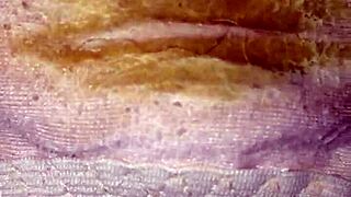 Stepmother's Daughter's Panties