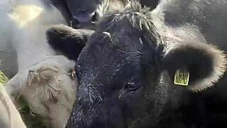 i am a country girl finding peace in nature