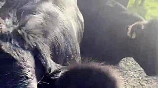 i am a country girl finding peace in nature