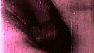 Exploring Vintage Erotic Art Collections