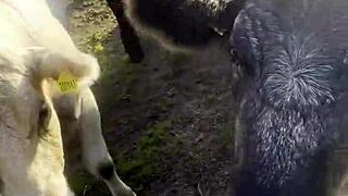 i am a country girl finding peace in nature