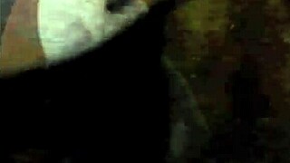 Exploring Vintage Erotic Art Collections