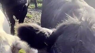 i am a country girl finding peace in nature