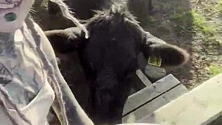 i am a country girl finding peace in nature