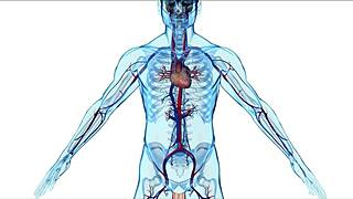 Step mom helps with wicked hormones crystal clark wca productions