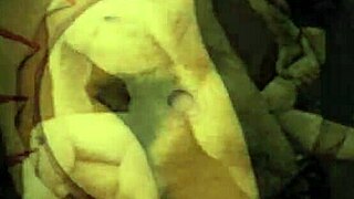 vintage erotic art collection