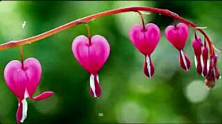 Bangla Sex Story: Romantic Or Just Motivational?