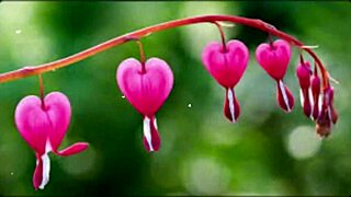 Bangla Sex Story: Romantic Or Just Motivational?