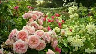 Bangla Sex Story: Romantic Or Just Motivational?