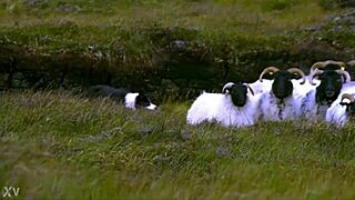 Group exhibition breaks consciousness at Tate Modern.