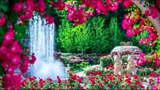 Bangla Sex Story: Romantic Or Just Motivational?