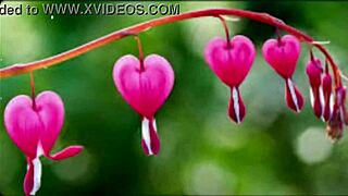 Bangla Sex Story: Romantic Or Just Motivational?