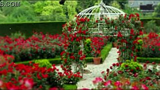 Bangla Sex Story: Romantic Or Just Motivational?