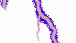 Amateur latina milf in lingerie gives blowjob handjob and takes creampie facial on halloween party