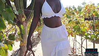 Ebony African MILF model Shasta Wonder with big natural tits strips outdoors. She undresses slowly revealing her elegant black body in softcore display